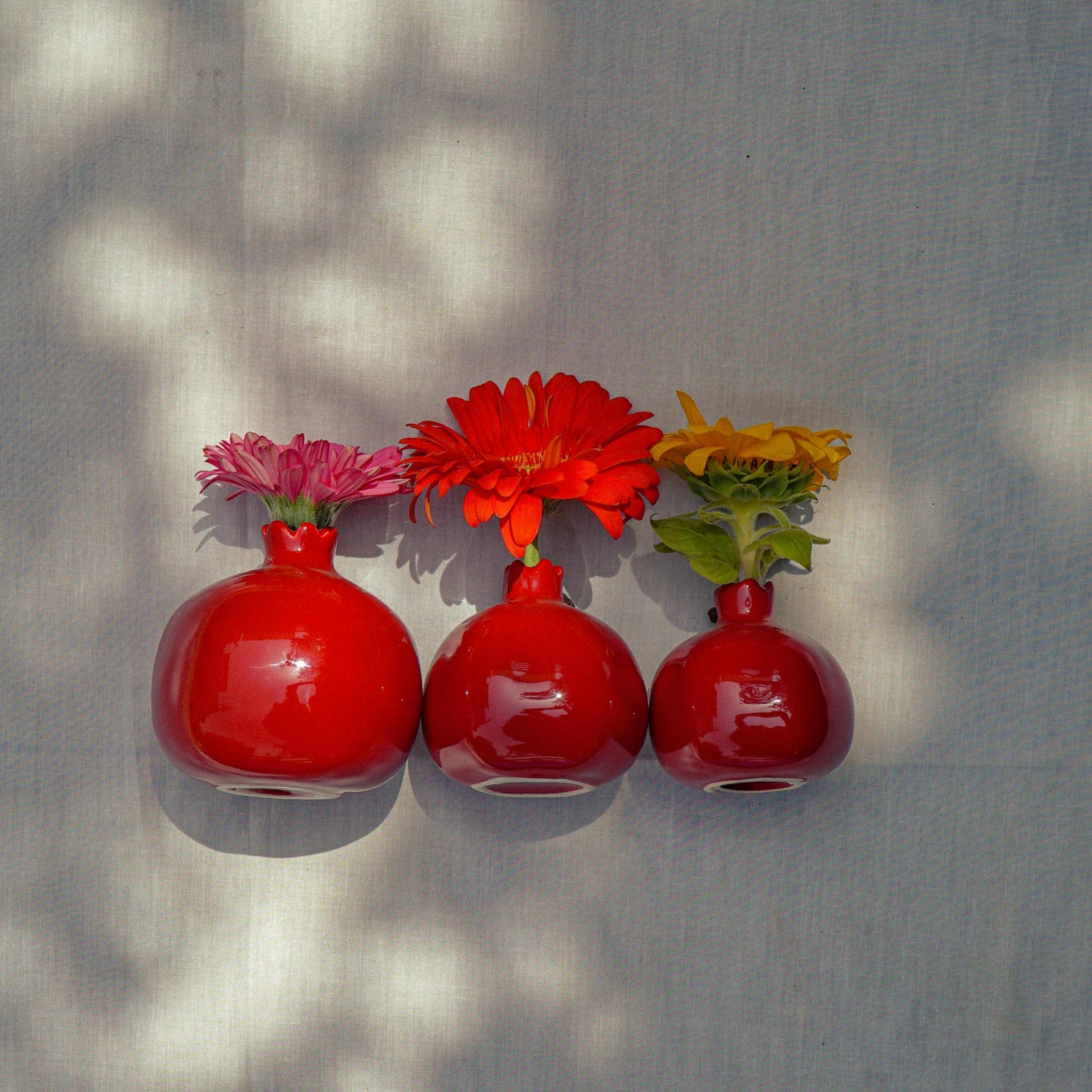 Shams El Balad Pomegranates