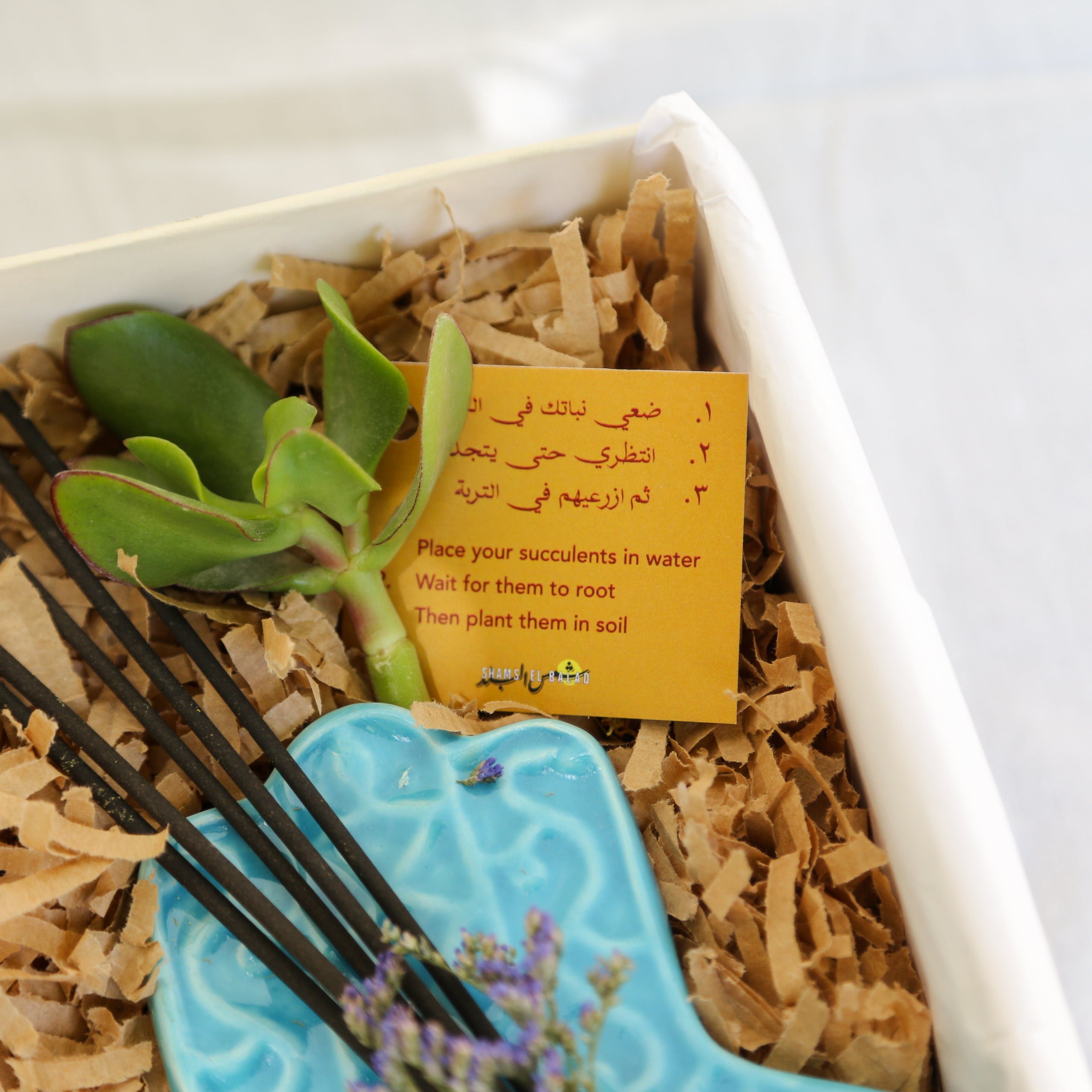 Shams El Balad Serenity Gift Box