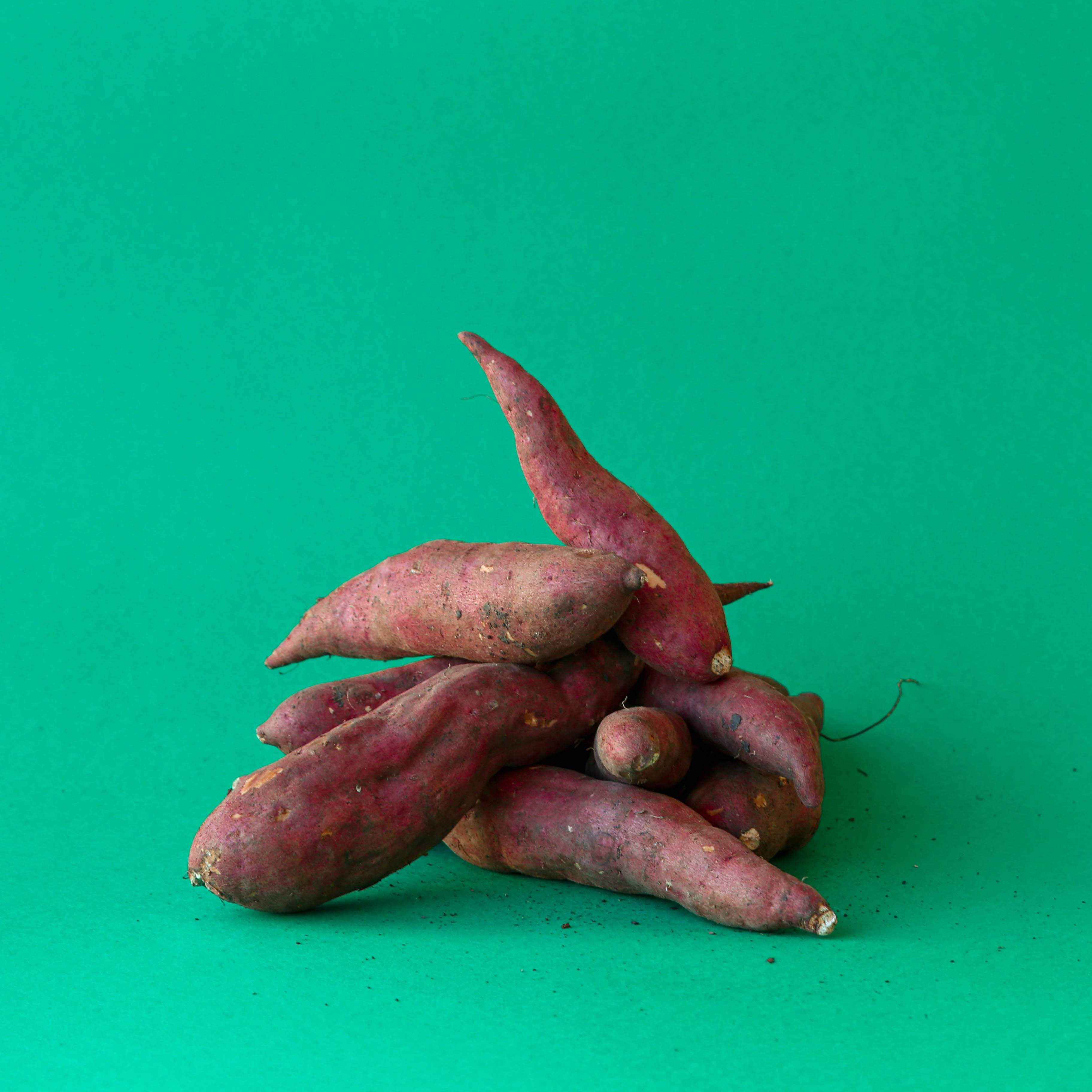 Shams El Balad Print Sweet Potato